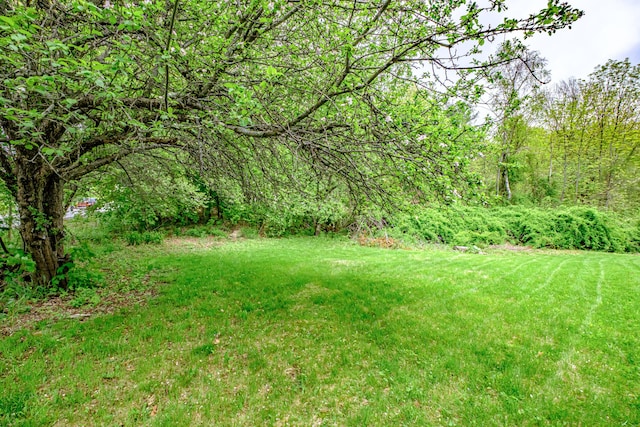 41 Bolton Hill Rd, Augusta, ME 04330 - view of grassy yard