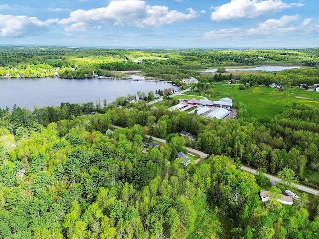 25 Parmenter Ter, China, ME 04358 - aerial overview of property's location with a large body of water and a forest