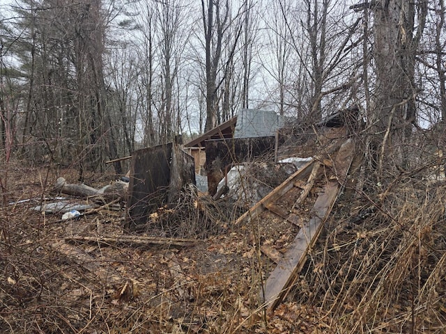 12 Middle Jam Rd, Gorham, ME 04038 - view of undeveloped land