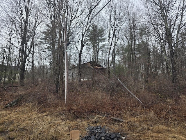 12 Middle Jam Rd, Gorham, ME 04038 - view of nature