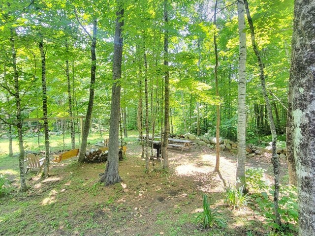 191 Basin Rd, Carthage, ME 04224 - photo 32
