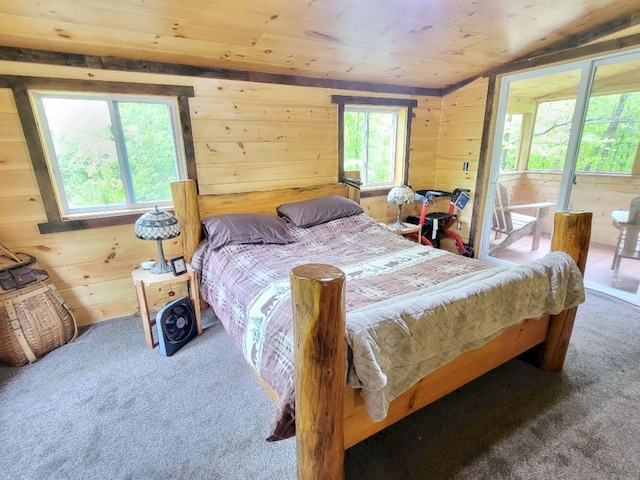 191 Basin Rd, Carthage, ME 04224 - photo 16