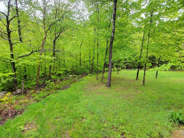 191 Basin Rd, Carthage, ME 04224 - photo 33