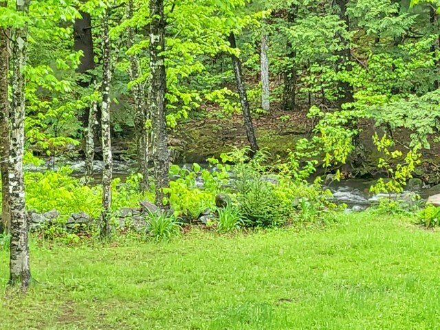 191 Basin Rd, Carthage, ME 04224 - photo 38