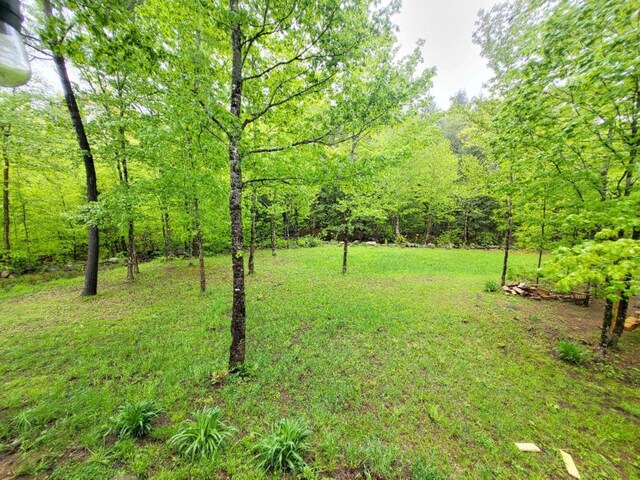 191 Basin Rd, Carthage, ME 04224 - photo 39