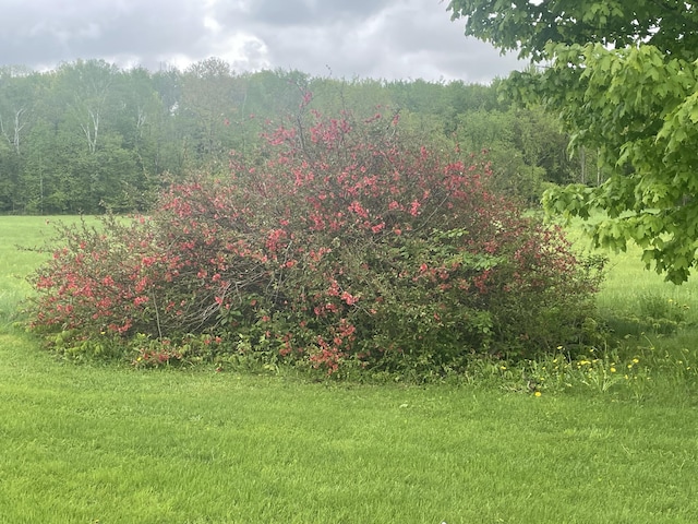 722 Farmington Rd, Strong, ME 04983 - view of grassy yard featuring a wooded view