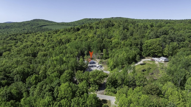 75 Fosterville Rd, Bridgton, ME 04009 - photo 84