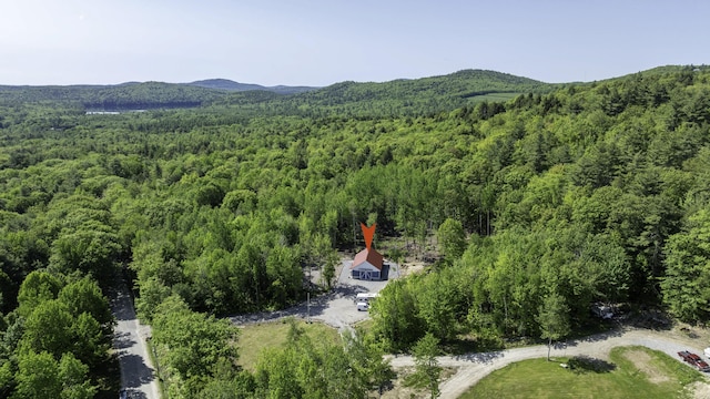 75 Fosterville Rd, Bridgton, ME 04009 - photo 76