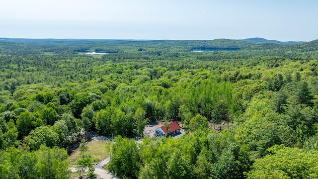 75 Fosterville Rd, Bridgton, ME 04009 - photo 77