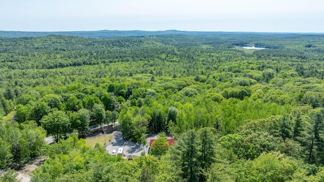 75 Fosterville Rd, Bridgton, ME 04009 - photo 78