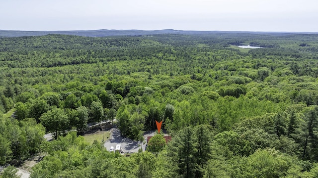 75 Fosterville Rd, Bridgton, ME 04009 - photo 79