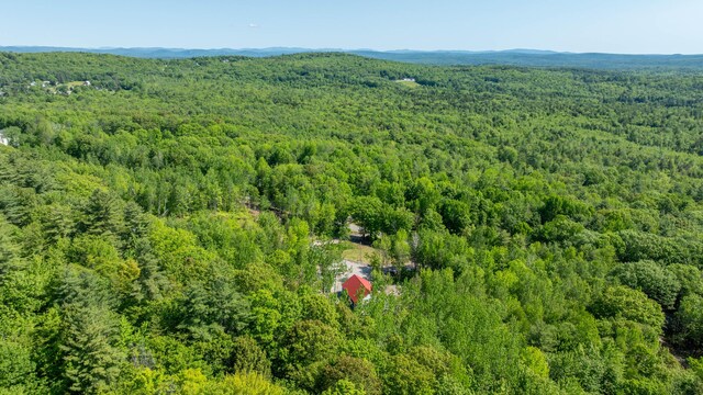 75 Fosterville Rd, Bridgton, ME 04009 - photo 80