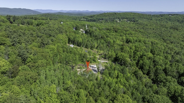 75 Fosterville Rd, Bridgton, ME 04009 - photo 81