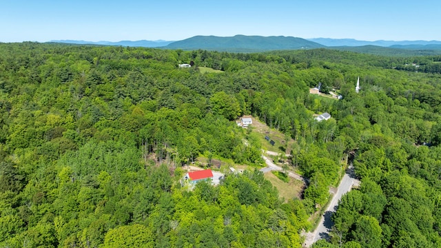 75 Fosterville Rd, Bridgton, ME 04009 - photo 82