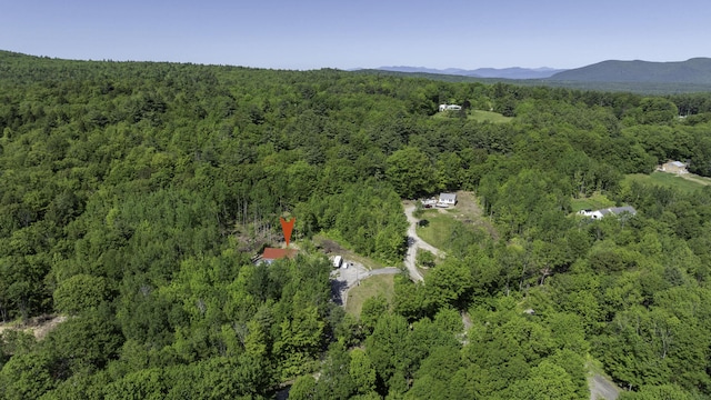 75 Fosterville Rd, Bridgton, ME 04009 - photo 83