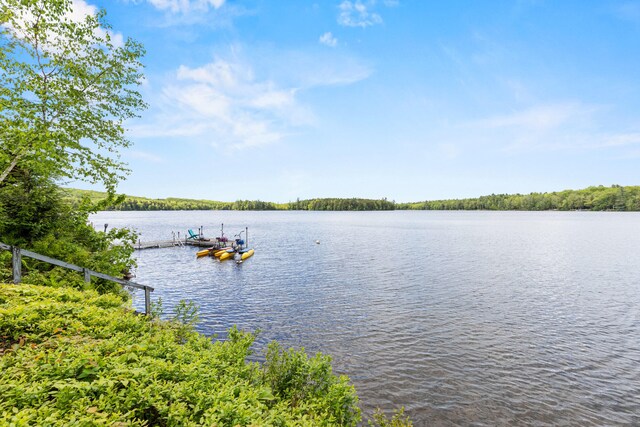 17 Partridge Ln, Otisfield, ME 04270 - photo 26