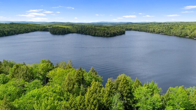 17 Partridge Ln, Otisfield, ME 04270 - photo 51