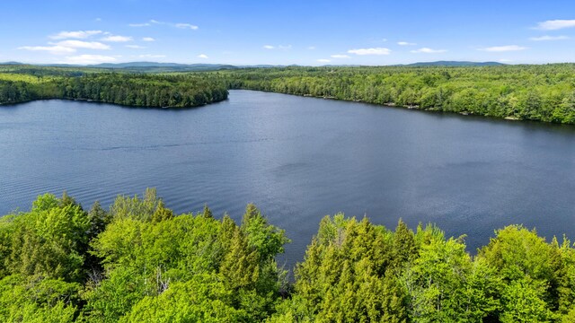 17 Partridge Ln, Otisfield, ME 04270 - photo 50