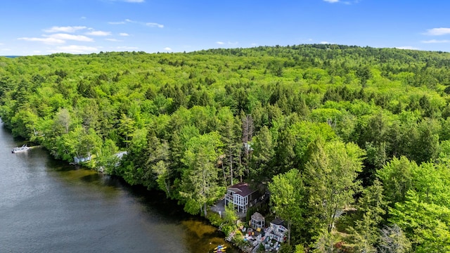 17 Partridge Ln, Otisfield, ME 04270 - photo 53