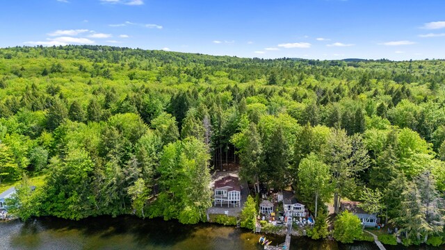 17 Partridge Ln, Otisfield, ME 04270 - photo 45