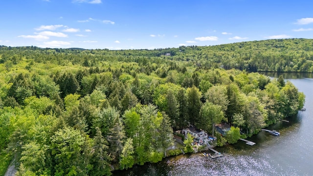 17 Partridge Ln, Otisfield, ME 04270 - photo 46