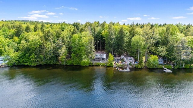 17 Partridge Ln, Otisfield, ME 04270 - photo 47