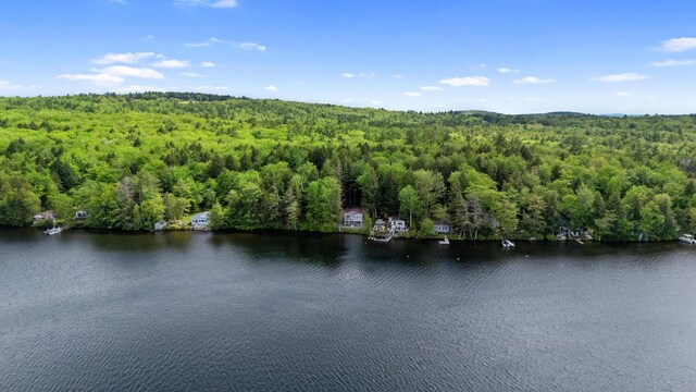 17 Partridge Ln, Otisfield, ME 04270 - photo 54
