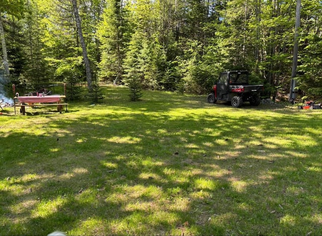 172 Blanchard Rd, Monson, ME 04464 - view of grassy yard with a view of trees