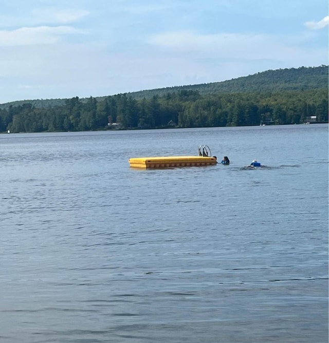 172 Blanchard Rd, Monson, ME 04464 - water view featuring a forest