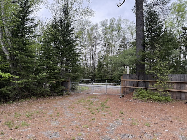 172 Blanchard Rd, Monson, ME 04464 - view of yard featuring a gate and dirt driveway
