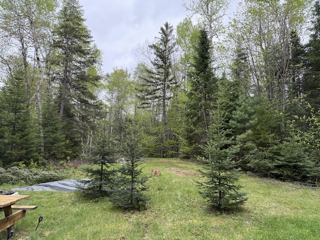 172 Blanchard Rd, Monson, ME 04464 - view of yard with a view of trees
