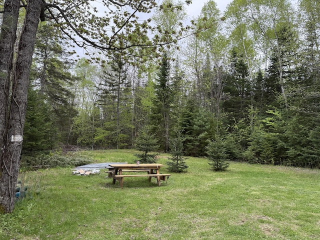 172 Blanchard Rd, Monson, ME 04464 - view of community featuring a lawn and a wooded view