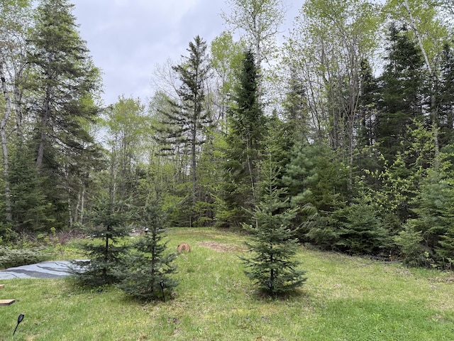 172 Blanchard Rd, Monson, ME 04464 - view of yard with a view of trees