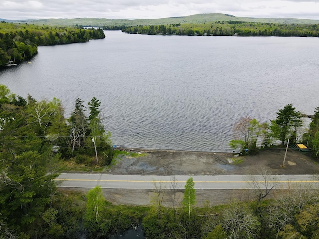 172 Blanchard Rd, Monson, ME 04464 - water view with a heavily wooded area