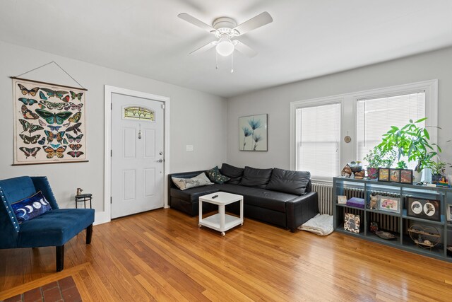 224 N St Unit 101-102, Saco, ME 04072 - living room featuring ceiling fan and light wood-type flooring