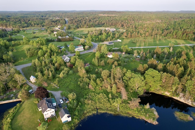 19 Lubec Rd, Whiting, ME 04691 - aerial view of property's location with a heavily wooded area and a large body of water