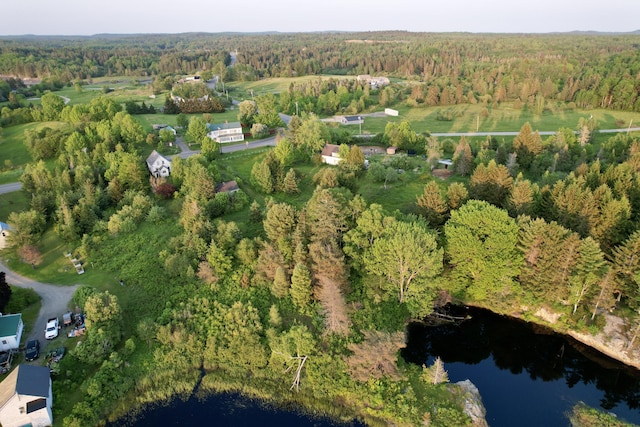 19 Lubec Rd, Whiting, ME 04691 - view of property location with a forest and a large body of water