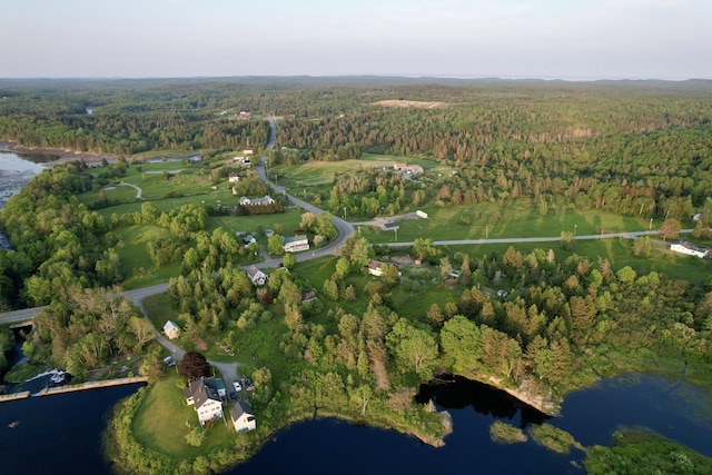 19 Lubec Rd, Whiting, ME 04691 - aerial view of property and surrounding area with a heavily wooded area and a large body of water