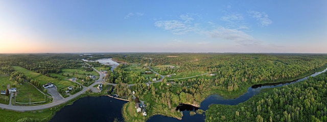 19 Lubec Rd, Whiting, ME 04691 - aerial view at dusk of a forest view and a water view