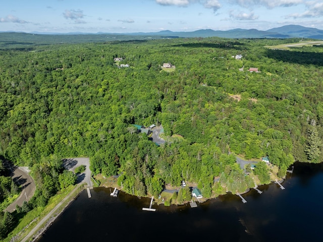 15 Wilson Pond Rd (Hedgehog), Unit Hedgehog Greenville, ME 04441 - view of property location with a forest and a large body of water