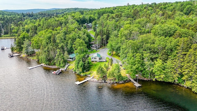 15 Wilson Pond Rd (Hedgehog), Unit Hedgehog Greenville, ME 04441 - drone / aerial view of a forest and a nearby body of water