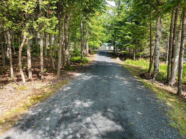 15 Wilson Pond Rd (Hedgehog), Unit Hedgehog Greenville, ME 04441 - view of dirt / gravel road featuring a view of trees