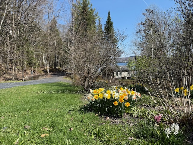 15 Wilson Pond Rd (Hedgehog), Unit Hedgehog Greenville, ME 04441 - view of yard