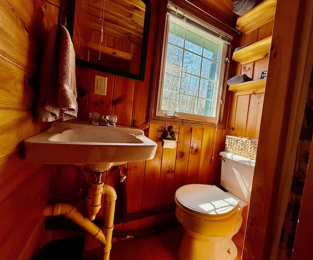 15 Wilson Pond Rd (Hedgehog), Unit Hedgehog Greenville, ME 04441 - bathroom featuring toilet and wooden walls