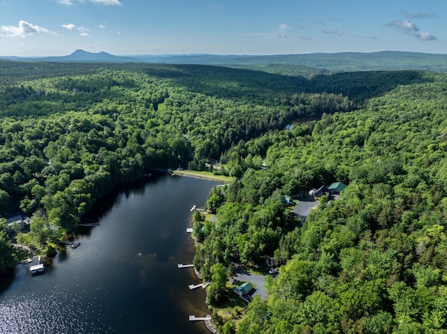15 Wilson Pond Rd (Hedgehog), Unit Hedgehog Greenville, ME 04441 - aerial overview of property's location featuring a heavily wooded area and a water and mountain view
