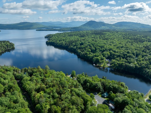 15 Wilson Pond Rd (Hedgehog), Unit Hedgehog Greenville, ME 04441 - drone / aerial view of a heavily wooded area and a water and mountain view