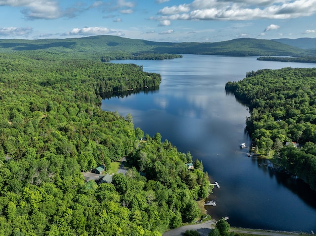 15 Wilson Pond Rd (Hedgehog), Unit Hedgehog Greenville, ME 04441 - bird's eye view of a heavily wooded area and a water and mountain view
