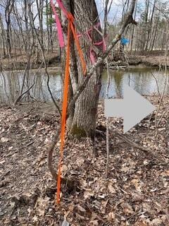 LOT039-E Pond Rd, Wilton, ME 04294