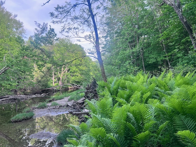 LOT039-E Pond Rd, Wilton, ME 04294