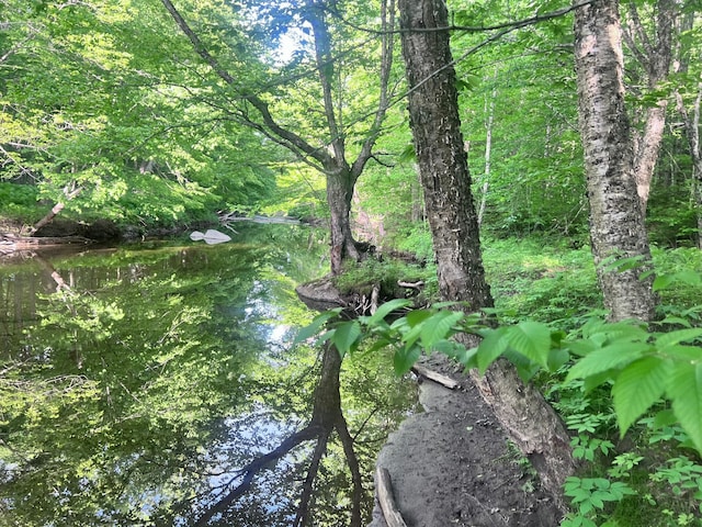 LOT039-E Pond Rd, Wilton, ME 04294
